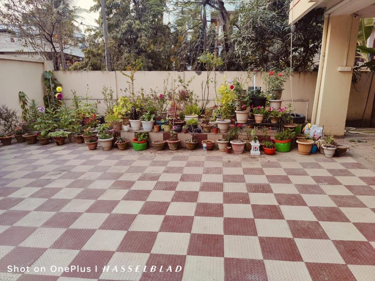 Dreams Abode Studio Apartment Guwahati Eksteriør billede